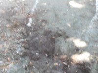 DSCN7110[1]