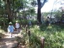 林試の森公園の遠足（３歳児わかば組親子）の写真