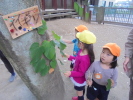 樹木のお話（親子活動）の写真